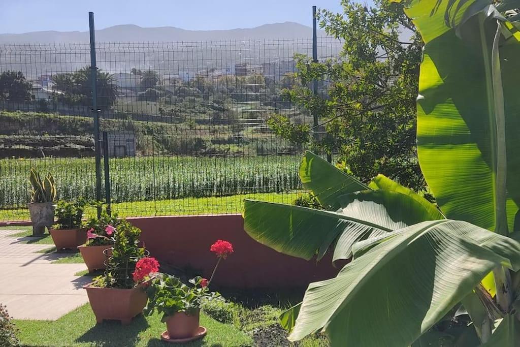Hébergement de vacances Casa Mamatina, En Realejos *